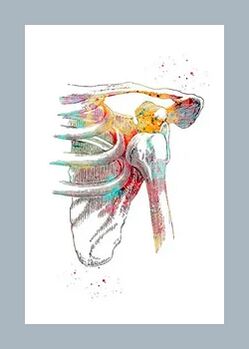 Verbetering van de microcirculatie in gewrichts- en spierweefsels